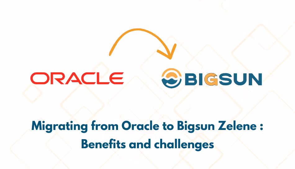 migrating fron oracle erp to bigsun erp